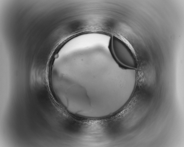 X0000095671035200802051226