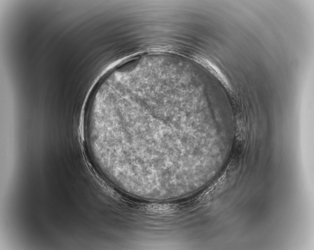 X0000095671036200802051226