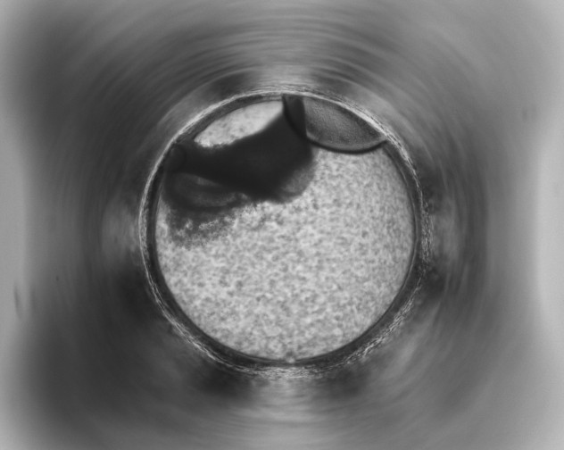 X0000095671037200802051226