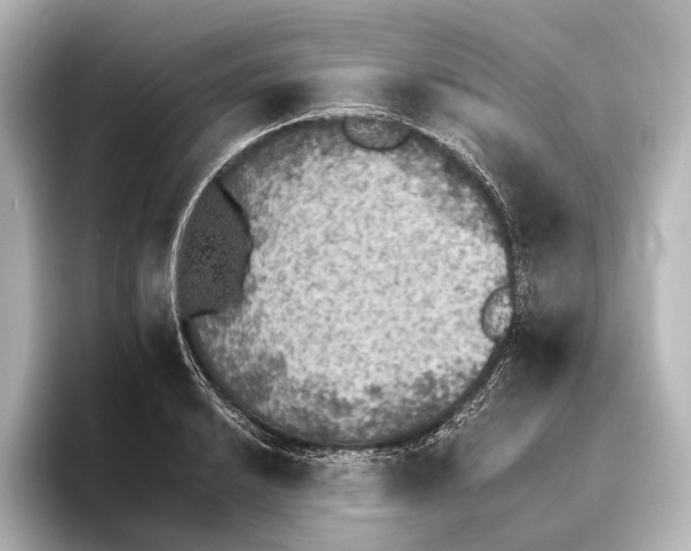 X0000095671038200802051226