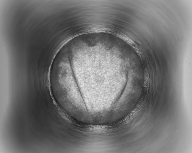 X0000095671039200802051226