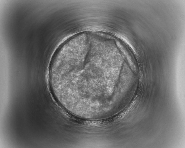 X0000095671040200802051226