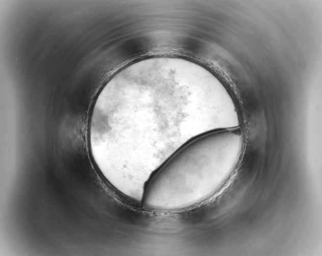 X0000095671041200802051226