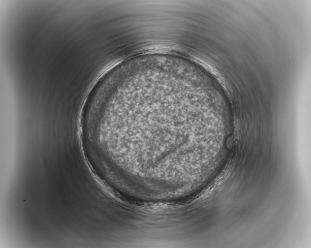 X0000095671042200802051226