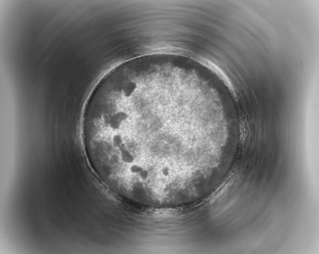 X0000095671043200802051226