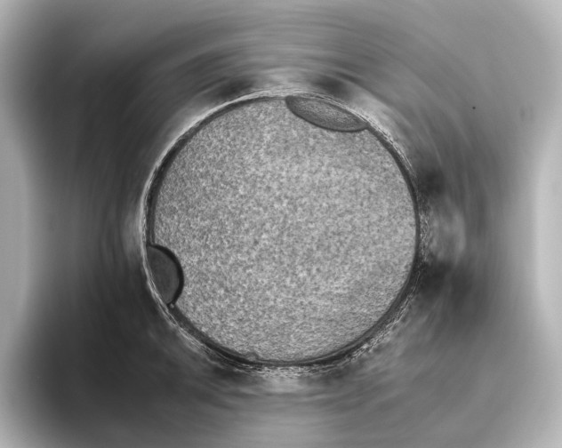 X0000095671046200802051226