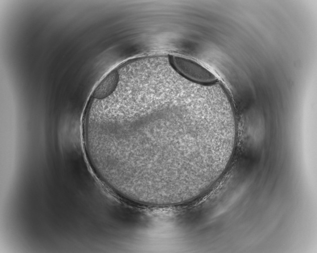 X0000095671047200802051226