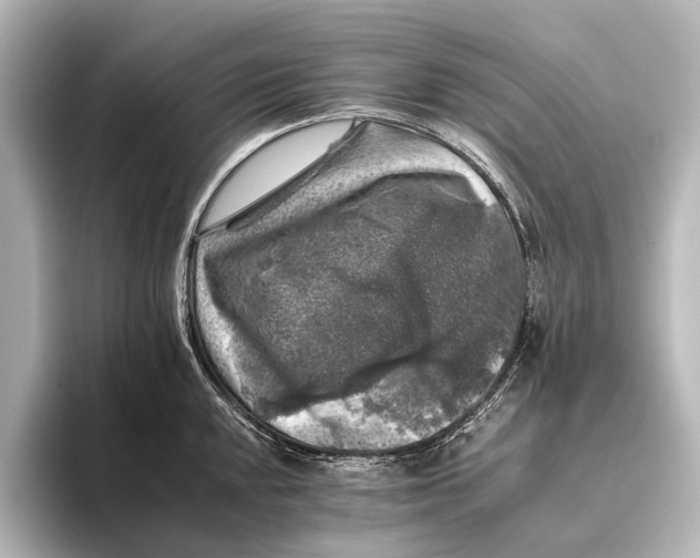 X0000095671048200802051226