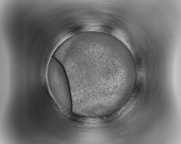 X0000095671050200802051226