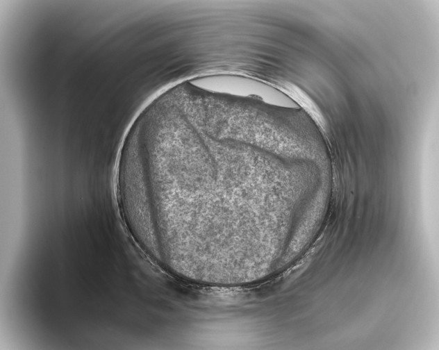 X0000095671052200802051226