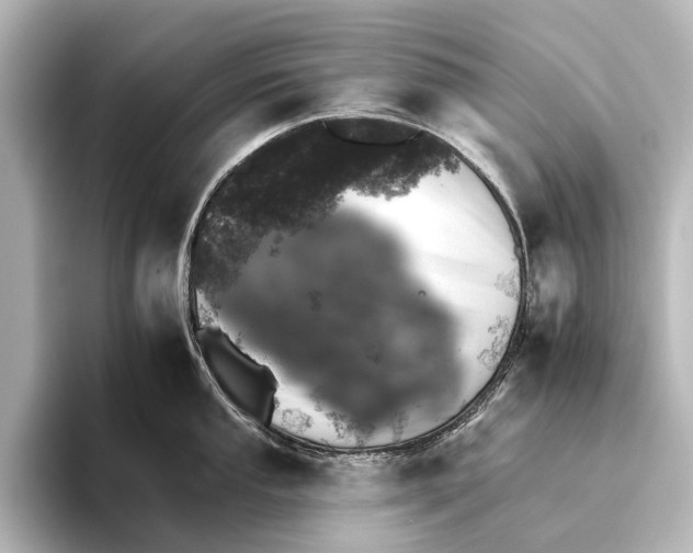 X0000095671053200802051226