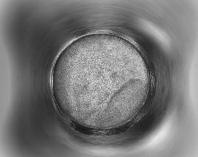 X0000095671054200802051226