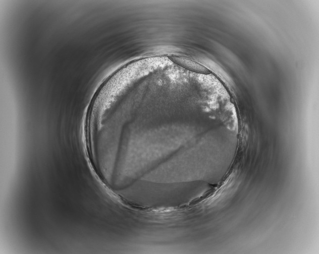 X0000095671055200802051226