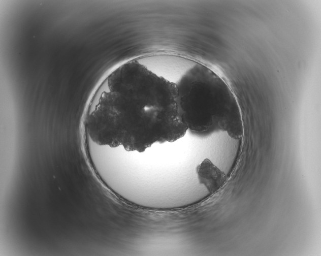 X0000095671056200802051226