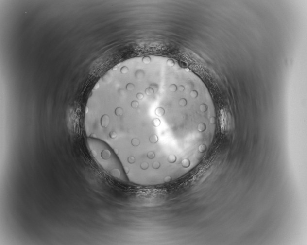 X0000095671059200802051225