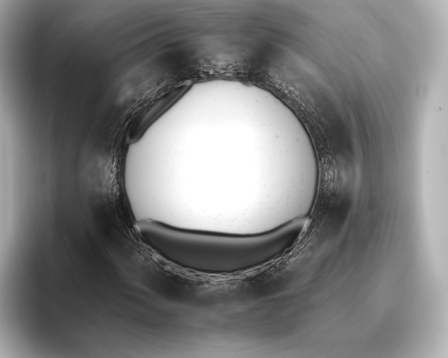 X0000095671060200802051225