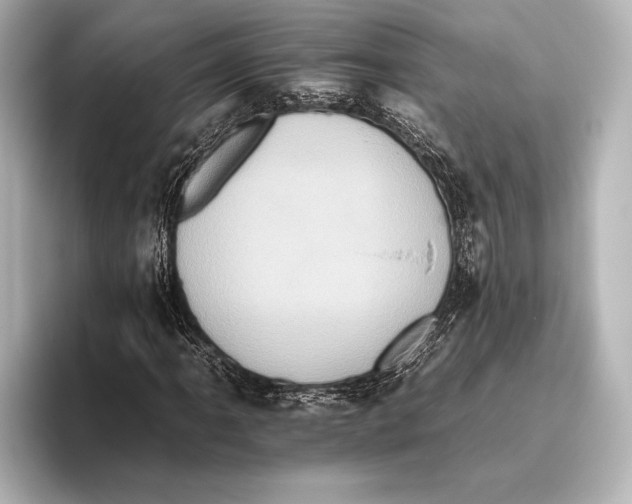 X0000095671061200802051225