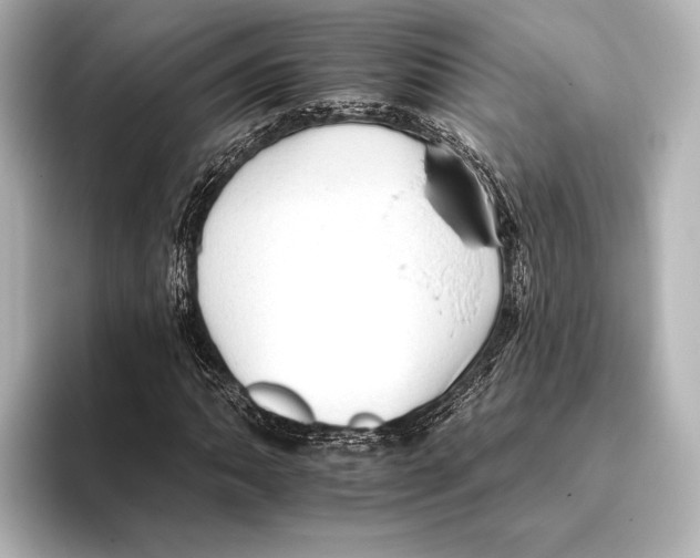 X0000095671062200802051225