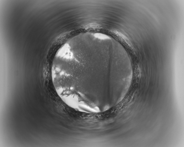 X0000095671063200802051225