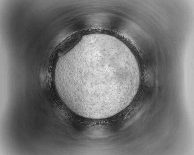 X0000095671064200802051225