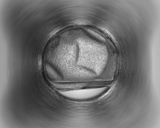 X0000095671065200802051225