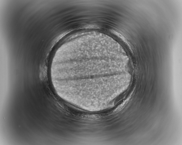 X0000095671066200802051225