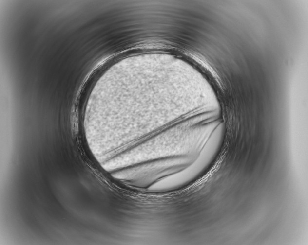 X0000095671067200802051225