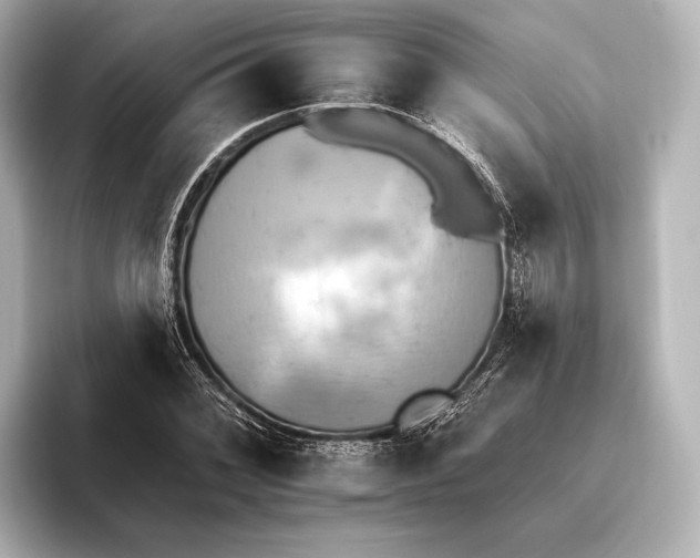 X0000095671068200802051225