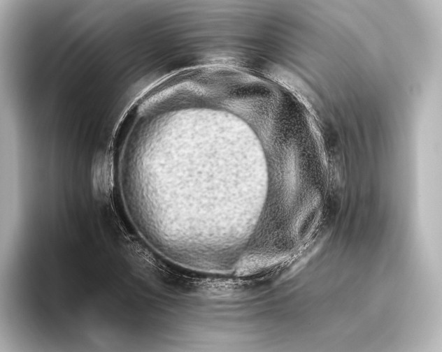 X0000095671069200802051225