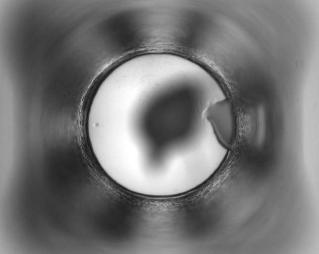 X0000095671071200802051225