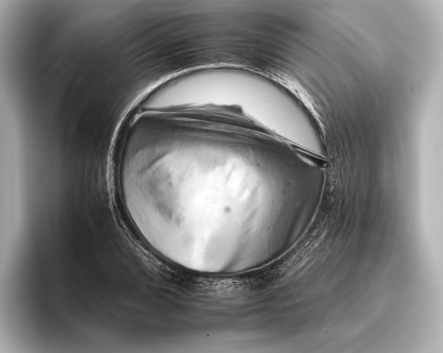 X0000095671072200802051225