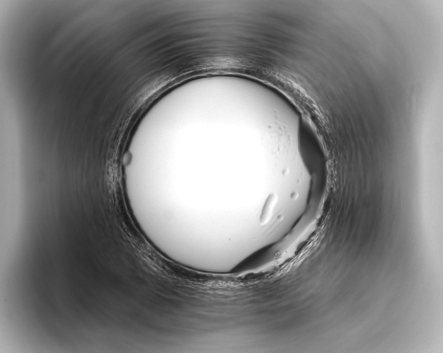 X0000095671073200802051225