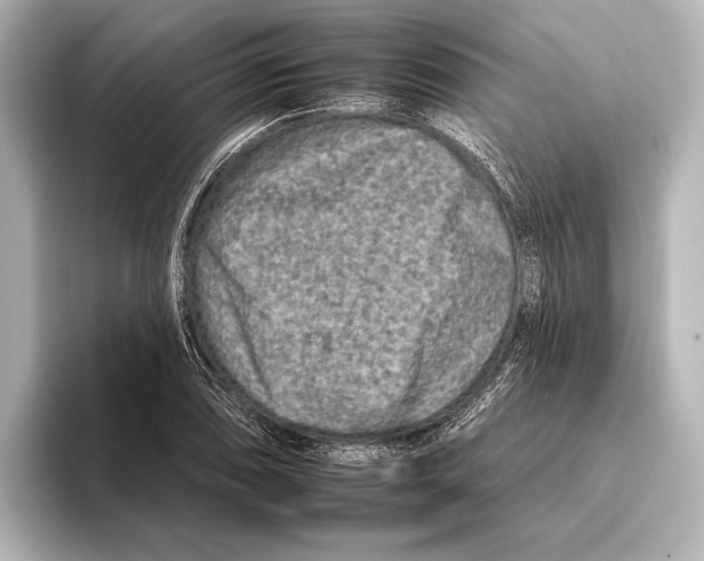 X0000095671074200802051225