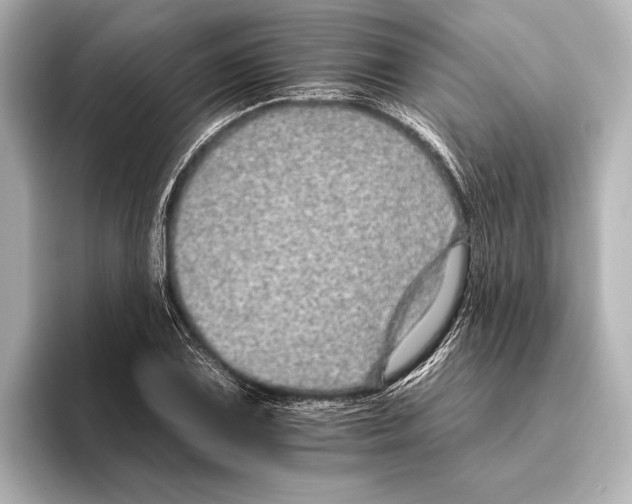 X0000095671075200802051225