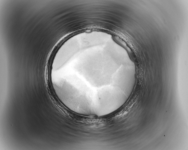 X0000095671076200802051225