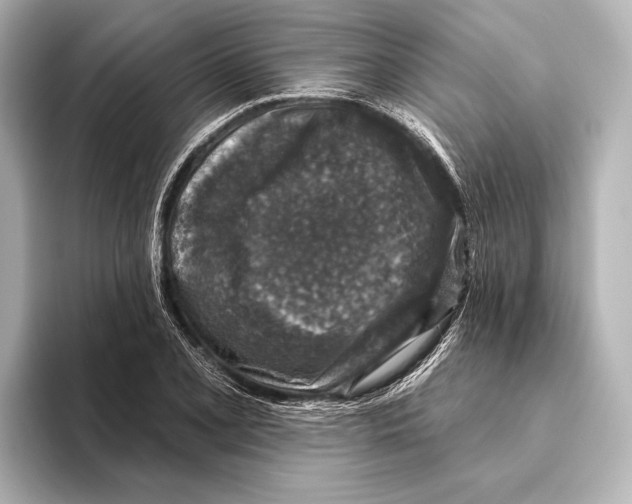 X0000095671077200802051225