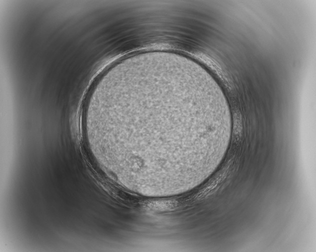 X0000095671078200802051225