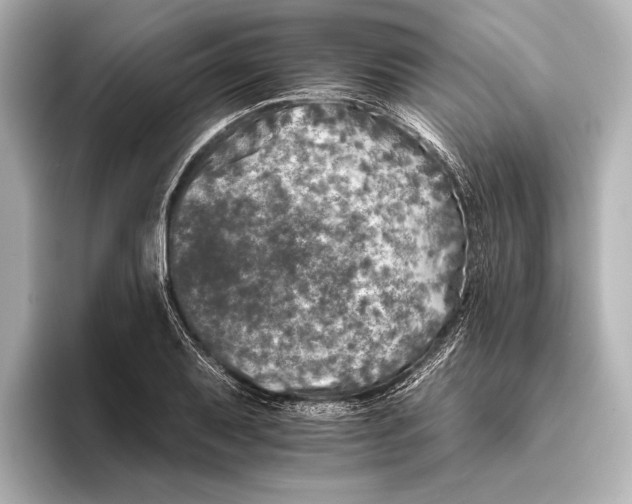 X0000095671079200802051225