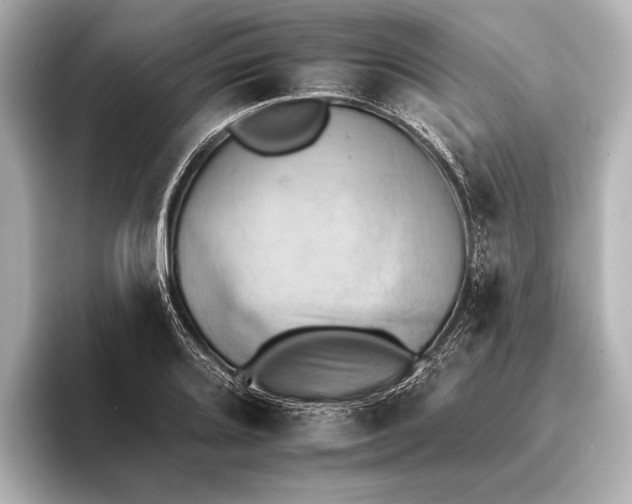 X0000095671080200802051225