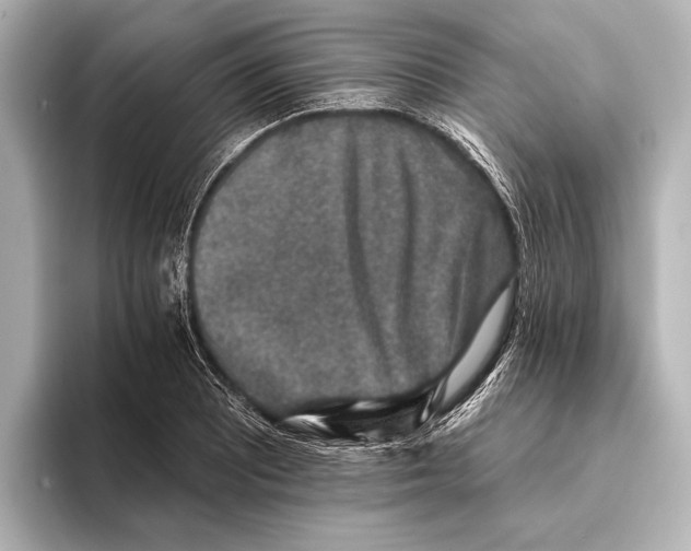 X0000095671081200802051225