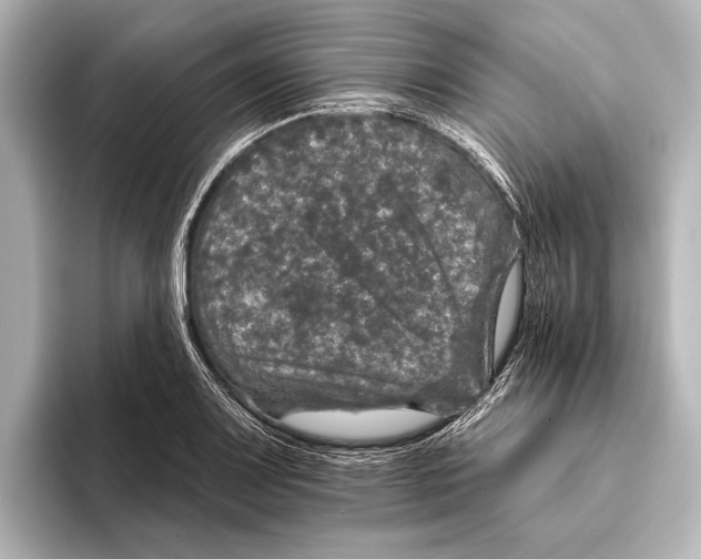 X0000095671083200802051225