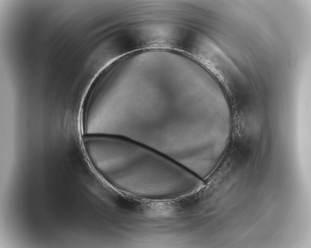 X0000095671084200802051225