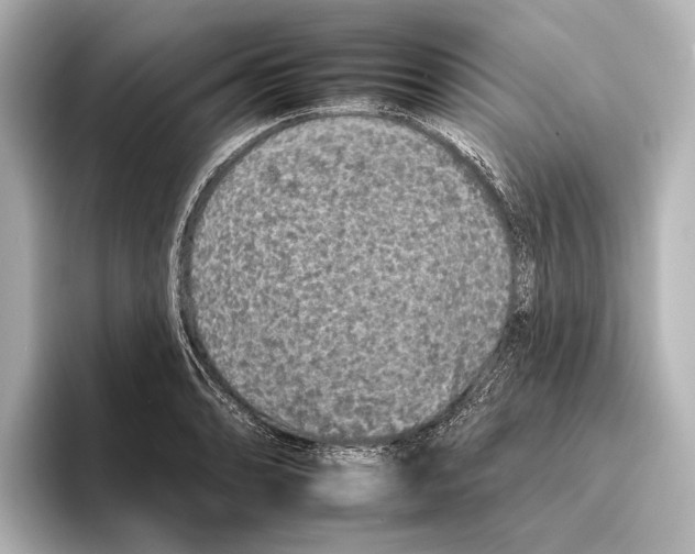 X0000095671086200802051225