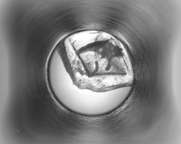 X0000095671087200802051225