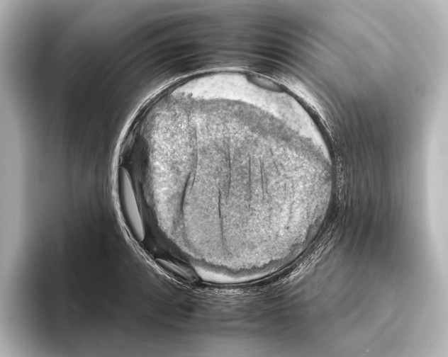 X0000095671088200802051225