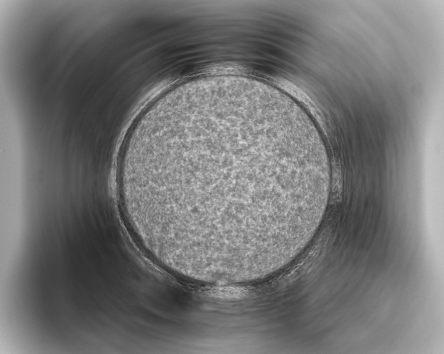 X0000095671090200802051225