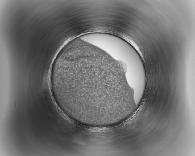 X0000095671091200802051225