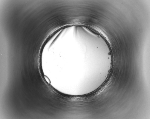 X0000095671093200802051225