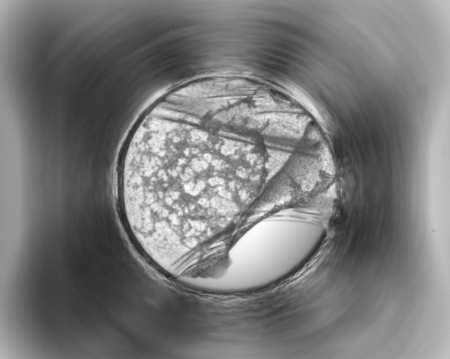 X0000095671095200802051225