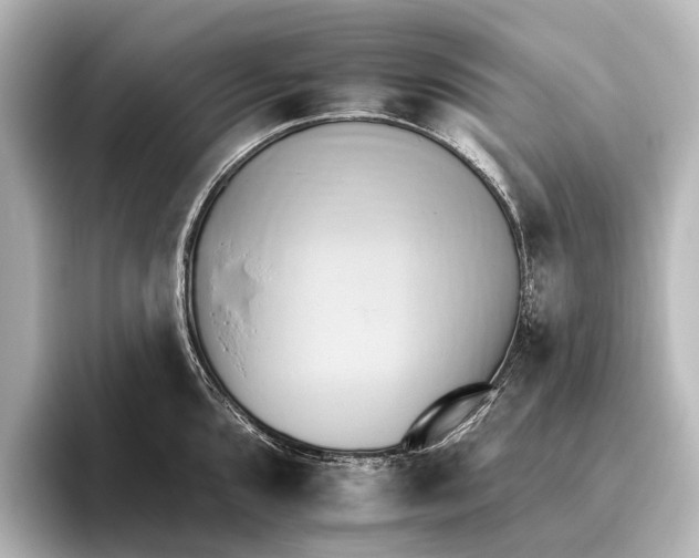 X0000095671096200802051225